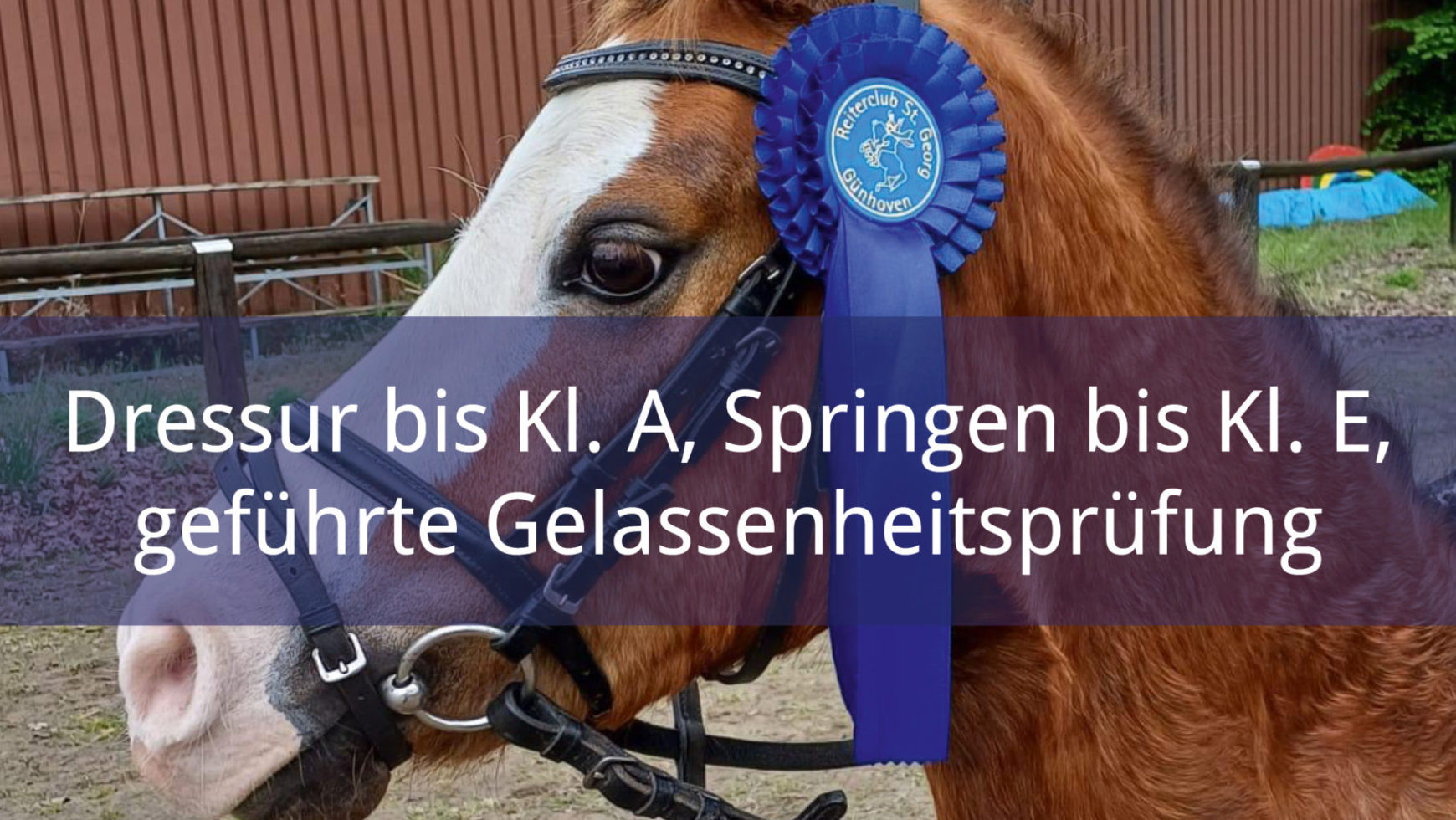 Ausschreibung WBO-Turnier