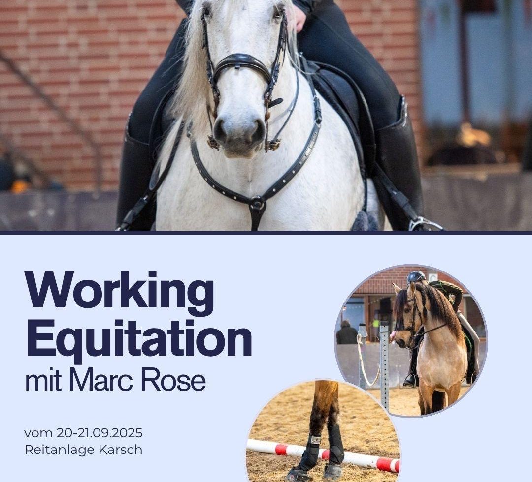 Working Equitation Lehrgang mit Marc Rose