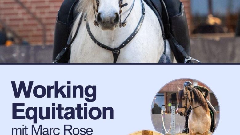 Working Equitation Lehrgang mit Marc Rose
